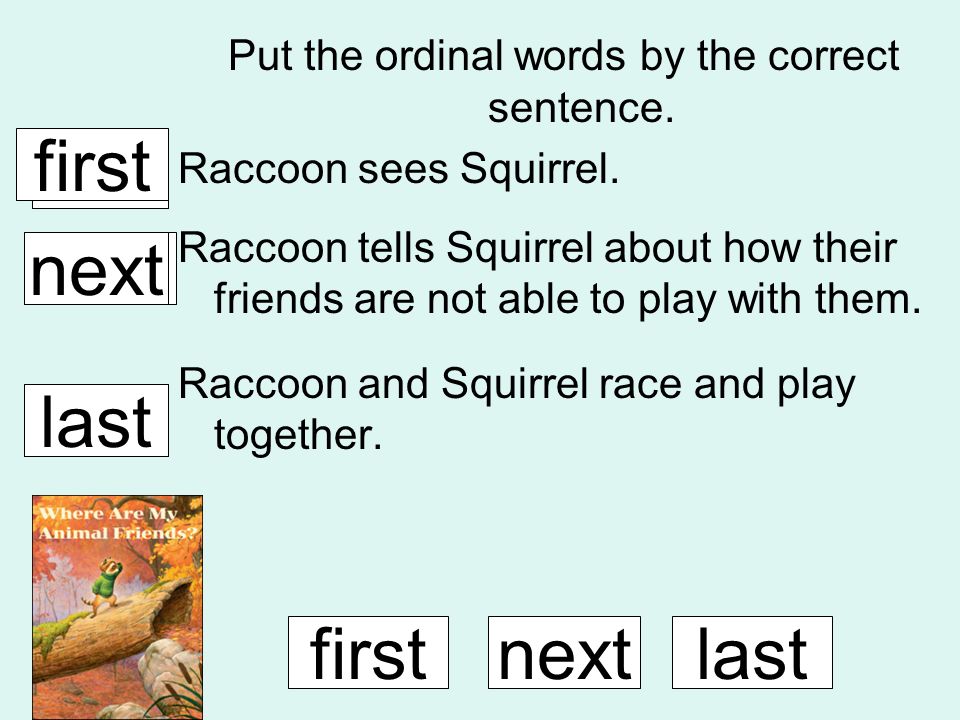 Put the ordinal words by the correct sentence. Raccoon sees Squirrel.