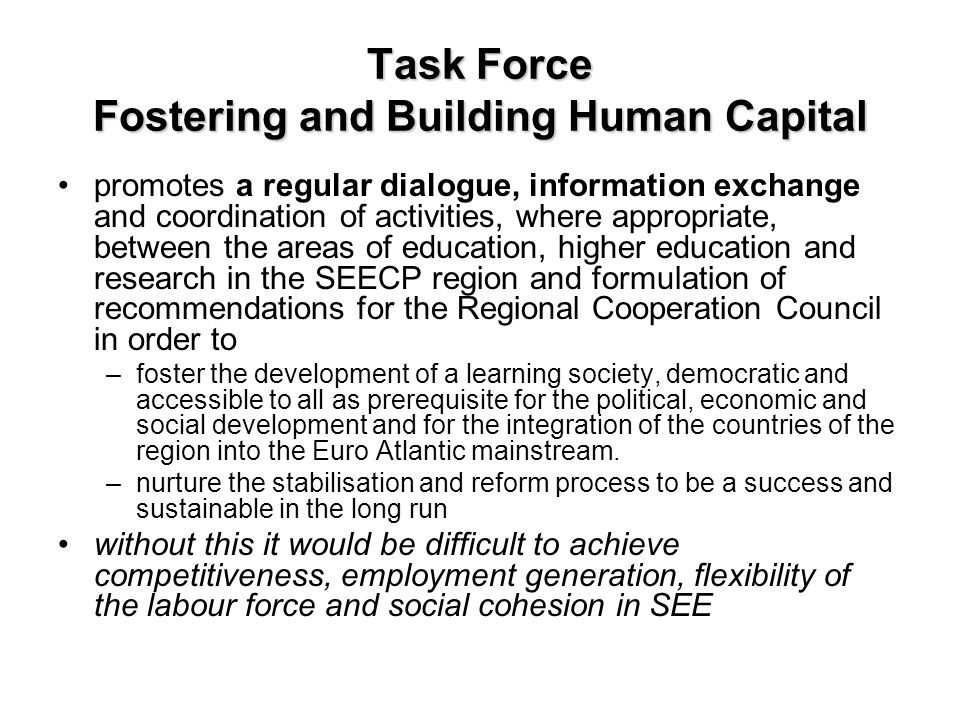 Task Force Fostering and Building Human Capital promotes a regular dialogue, information exchange and coordination of activities, where appropriate, between the areas of education, higher education and research in the SEECP region and formulation of recommendations for the Regional Cooperation Council in order to –foster the development of a learning society, democratic and accessible to all as prerequisite for the political, economic and social development and for the integration of the countries of the region into the Euro Atlantic mainstream.