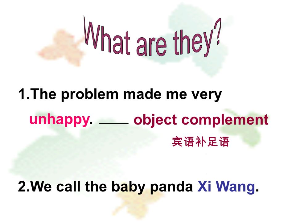 1.The problem made me very unhappy. 2.We call the baby panda Xi Wang. object complement