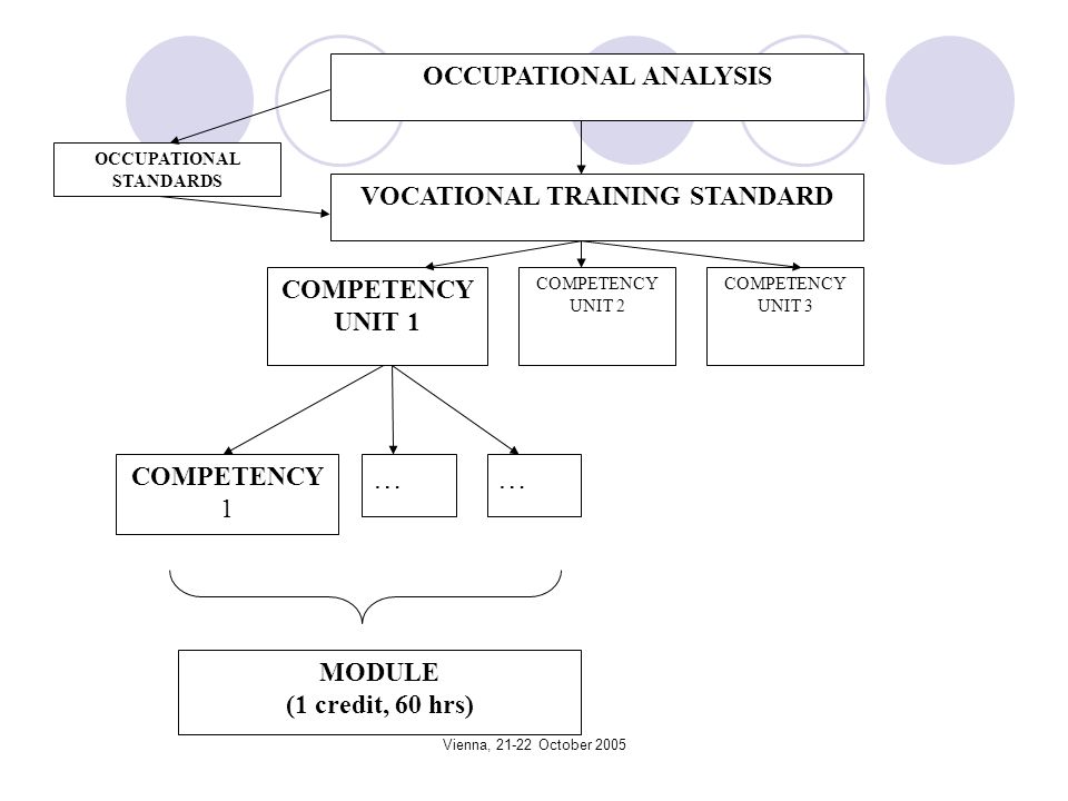 Vienna, October 2005 OCCUPATIONAL ANALYSIS VOCATIONAL TRAINING STANDARD COMPETENCY UNIT 1 COMPETENCY UNIT 2 COMPETENCY UNIT 3 COMPETENCY 1 …… MODULE (1 credit, 60 hrs) OCCUPATIONAL STANDARDS