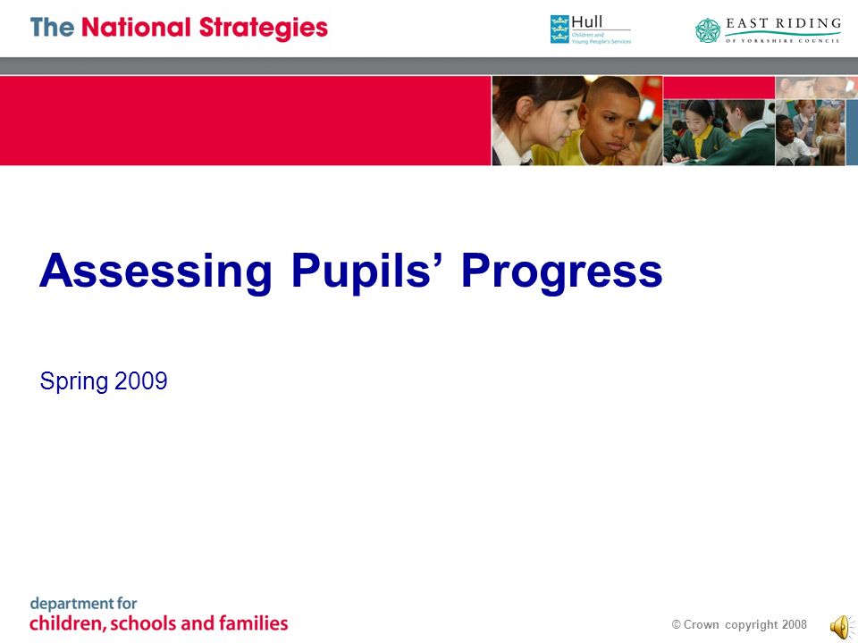 © Crown copyright 2008 Assessing Pupils Progress Spring 2009