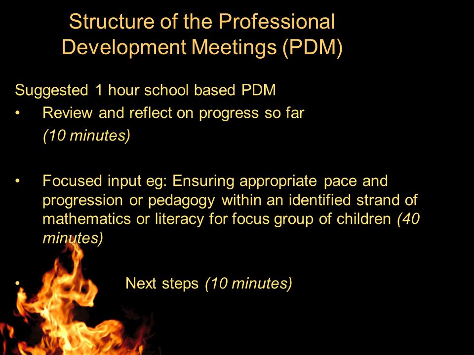 Structure of the Professional Development Meetings (PDM) Suggested 1 hour school based PDM Review and reflect on progress so far (10 minutes) Focused input eg: Ensuring appropriate pace and progression or pedagogy within an identified strand of mathematics or literacy for focus group of children (40 minutes) Next steps (10 minutes)