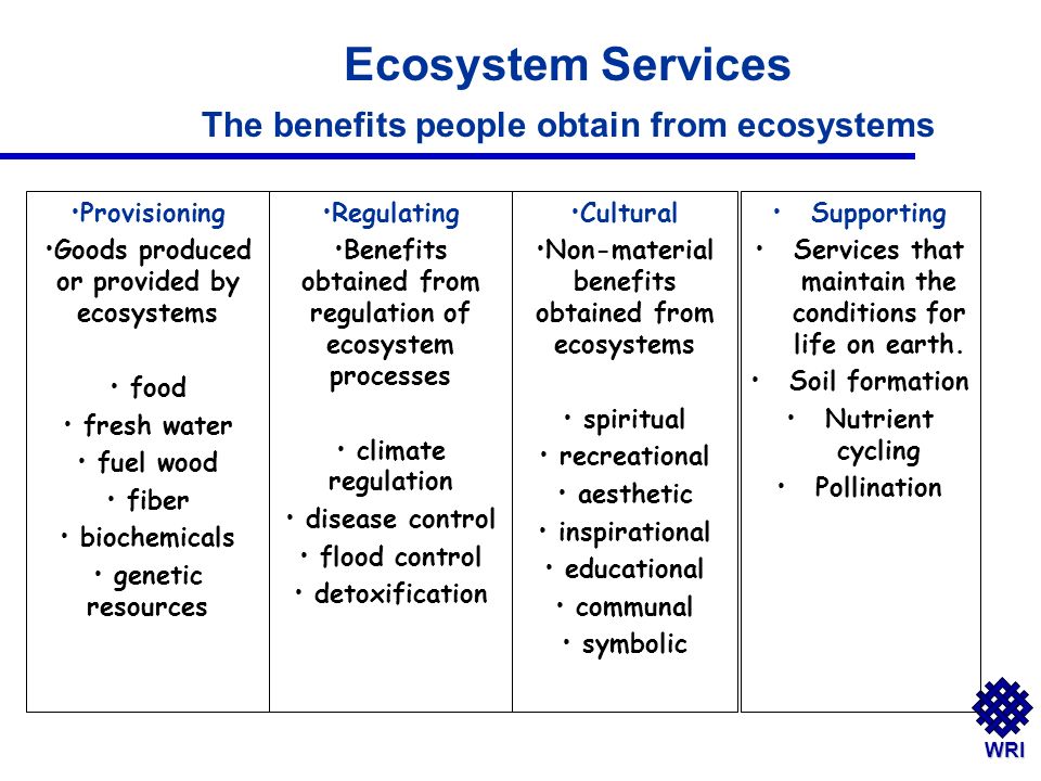 WRI Ecosystem Services The benefits people obtain from ecosystems Regulating Benefits obtained from regulation of ecosystem processes climate regulation disease control flood control detoxification Provisioning Goods produced or provided by ecosystems food fresh water fuel wood fiber biochemicals genetic resources Cultural Non-material benefits obtained from ecosystems spiritual recreational aesthetic inspirational educational communal symbolic Supporting Services that maintain the conditions for life on earth.