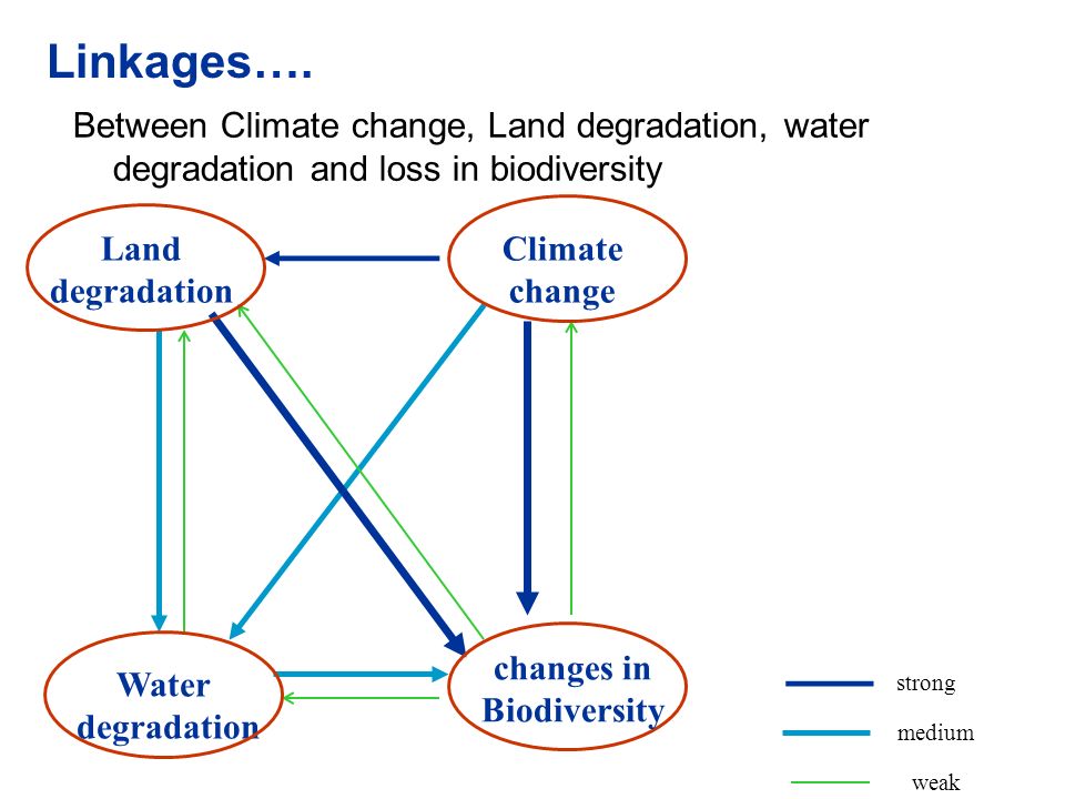 Between Climate change, Land degradation, water degradation and loss in biodiversity Linkages….