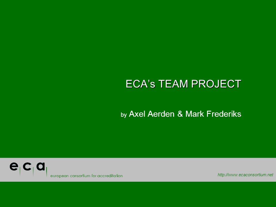 ECAs TEAM PROJECT by Axel Aerden & Mark Frederiks