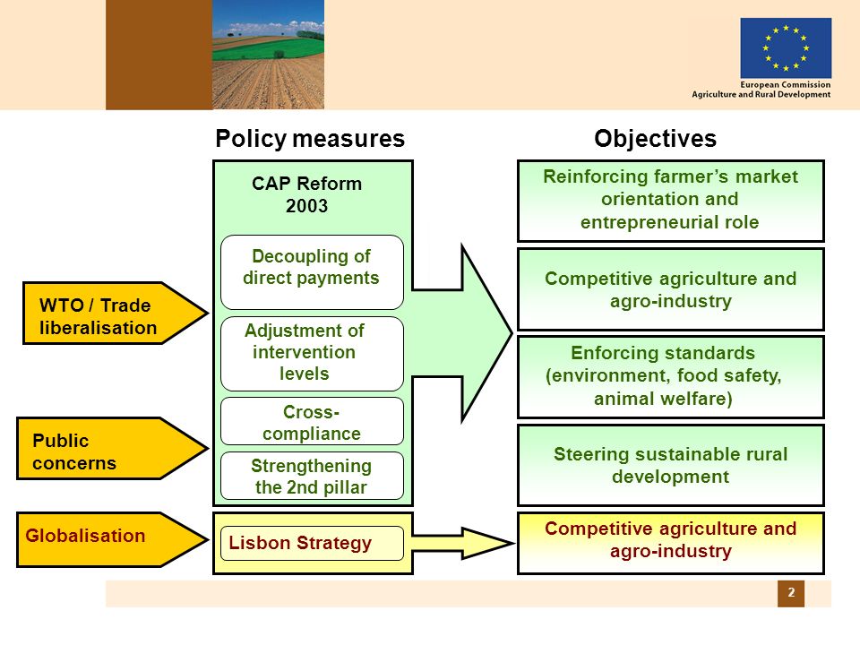 2 Enforcing standards (environment, food safety, animal welfare) Steering sustainable rural development Competitive agriculture and agro-industry Adjustment of intervention levels Decoupling of direct payments Strengthening the 2nd pillar Lisbon Strategy CAP Reform 2003 Objectives WTO / Trade liberalisation Globalisation Public concerns Cross- compliance Policy measures Competitive agriculture and agro-industry Reinforcing farmers market orientation and entrepreneurial role