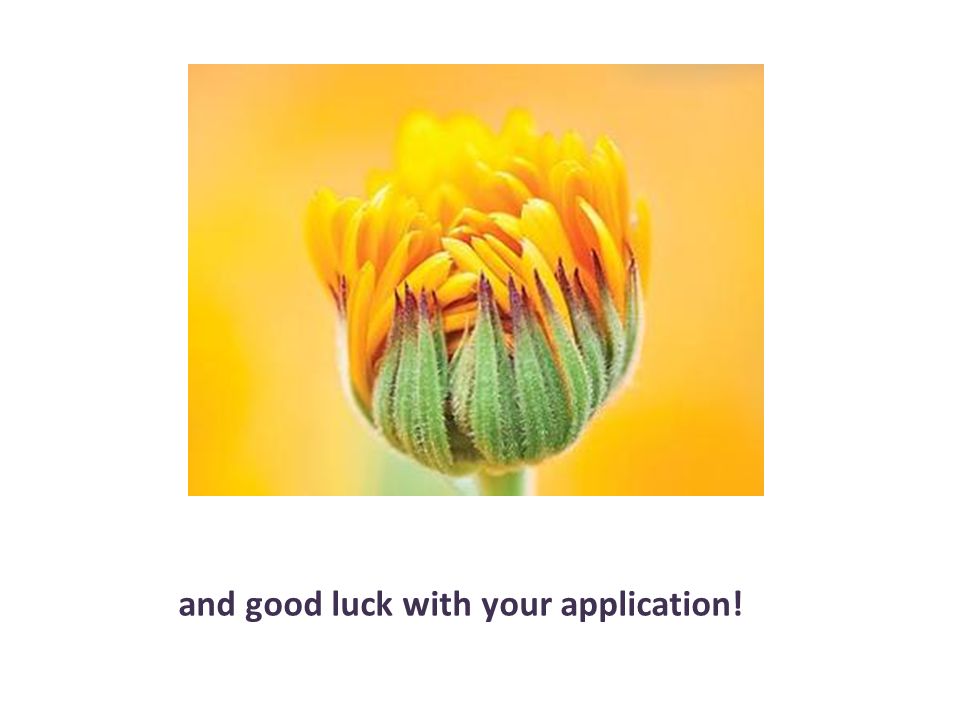 and good luck with your application!