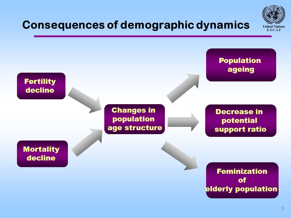 5 Consequences of demographic dynamics Fertility decline Mortality decline Changes in population age structure Population ageing Feminization of elderly population Decrease in potential support ratio