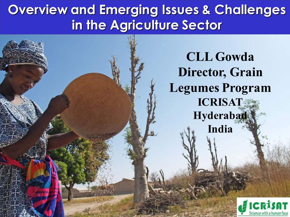 Overview and Emerging Issues & Challenges in the Agriculture Sector CLL Gowda Director, Grain Legumes Program ICRISAT Hyderabad India