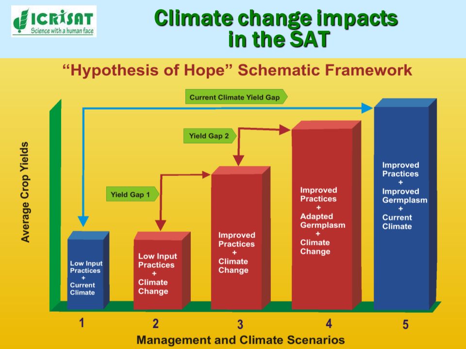 Climate change impacts in the SAT Yield Gap 1 can be mitigated through improved crop and NRM management Yield Gap 2 can be mitigated through variety adaptation to climate change