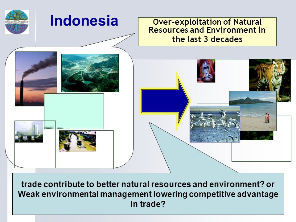 4 Over-exploitation of Natural Resources and Environment in the last 3 decades Indonesia trade contribute to better natural resources and environment.