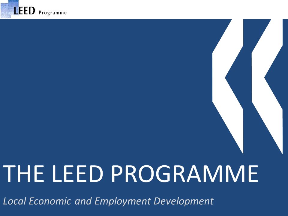 THE LEED PROGRAMME Local Economic and Employment Development