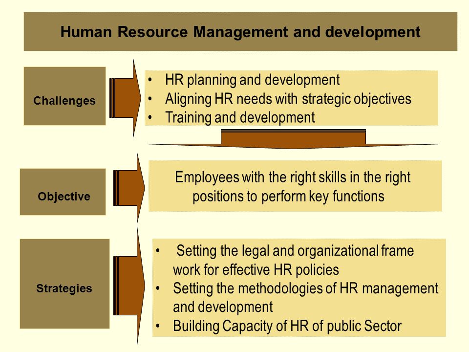 Objective HR planning and development Aligning HR needs with strategic objectives Training and development Employees with the right skills in the right positions to perform key functions Setting the legal and organizational frame work for effective HR policies Setting the methodologies of HR management and development Building Capacity of HR of public Sector Human Resource Management and development Challenges Strategies