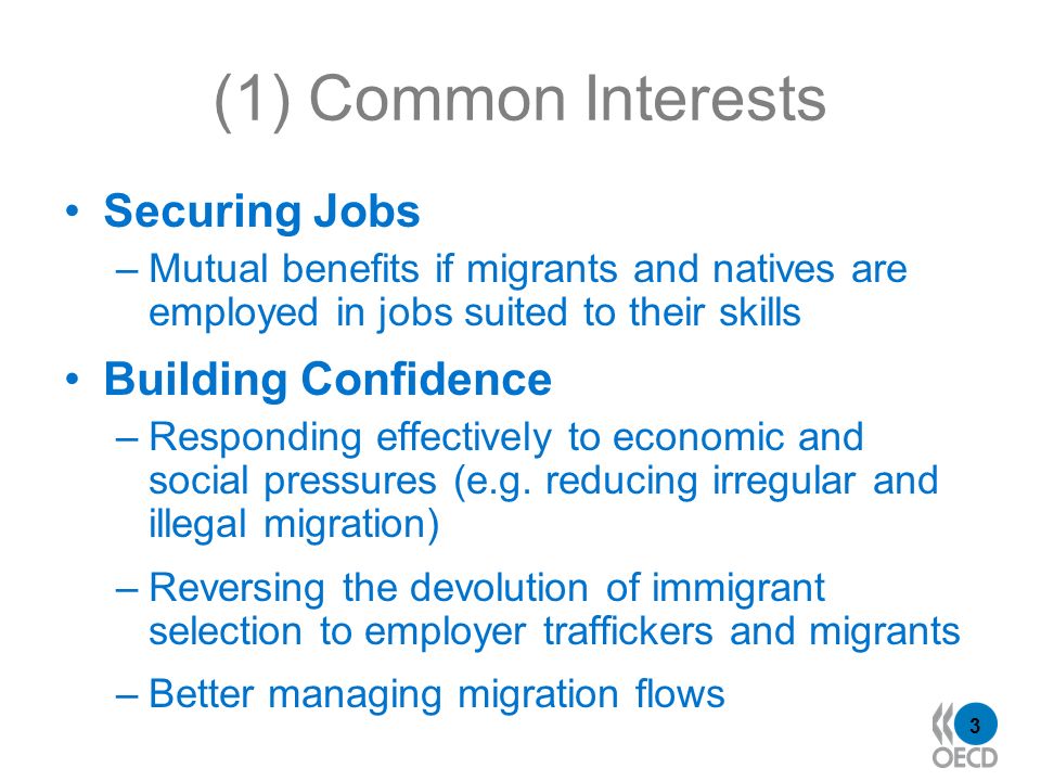 3 (1) Common Interests Securing Jobs –Mutual benefits if migrants and natives are employed in jobs suited to their skills Building Confidence –Responding effectively to economic and social pressures (e.g.