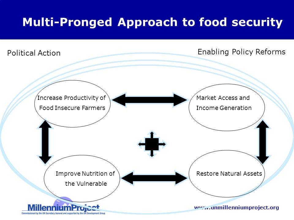Enabling Policy Reforms Political Action Increase Productivity of Food Insecure Farmers Market Access and Income Generation Restore Natural AssetsImprove Nutrition of the Vulnerable Multi-Pronged Approach to food security