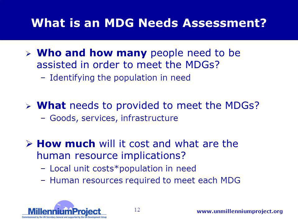 12   What is an MDG Needs Assessment.