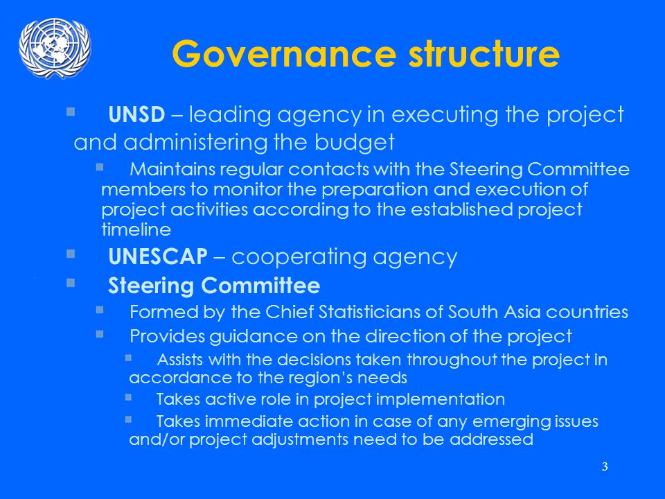 3 Governance structure UNSD – leading agency in executing the project and administering the budget Maintains regular contacts with the Steering Committee members to monitor the preparation and execution of project activities according to the established project timeline UNESCAP – cooperating agency Steering Committee Formed by the Chief Statisticians of South Asia countries Provides guidance on the direction of the project Assists with the decisions taken throughout the project in accordance to the regions needs Takes active role in project implementation Takes immediate action in case of any emerging issues and/or project adjustments need to be addressed