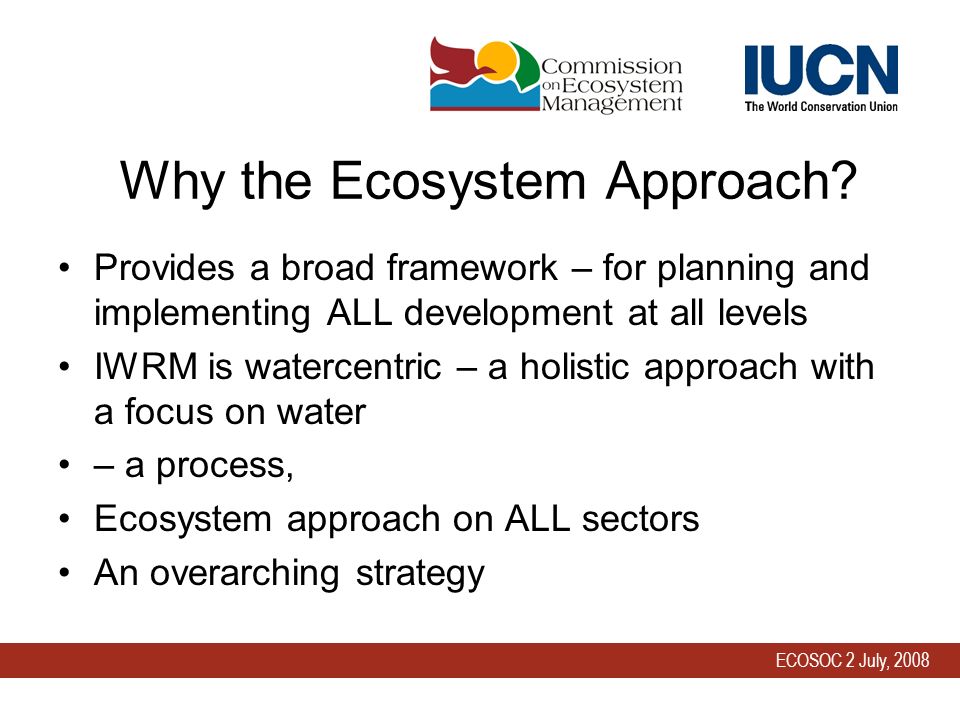 ECOSOC 2 July, 2008 Why the Ecosystem Approach.