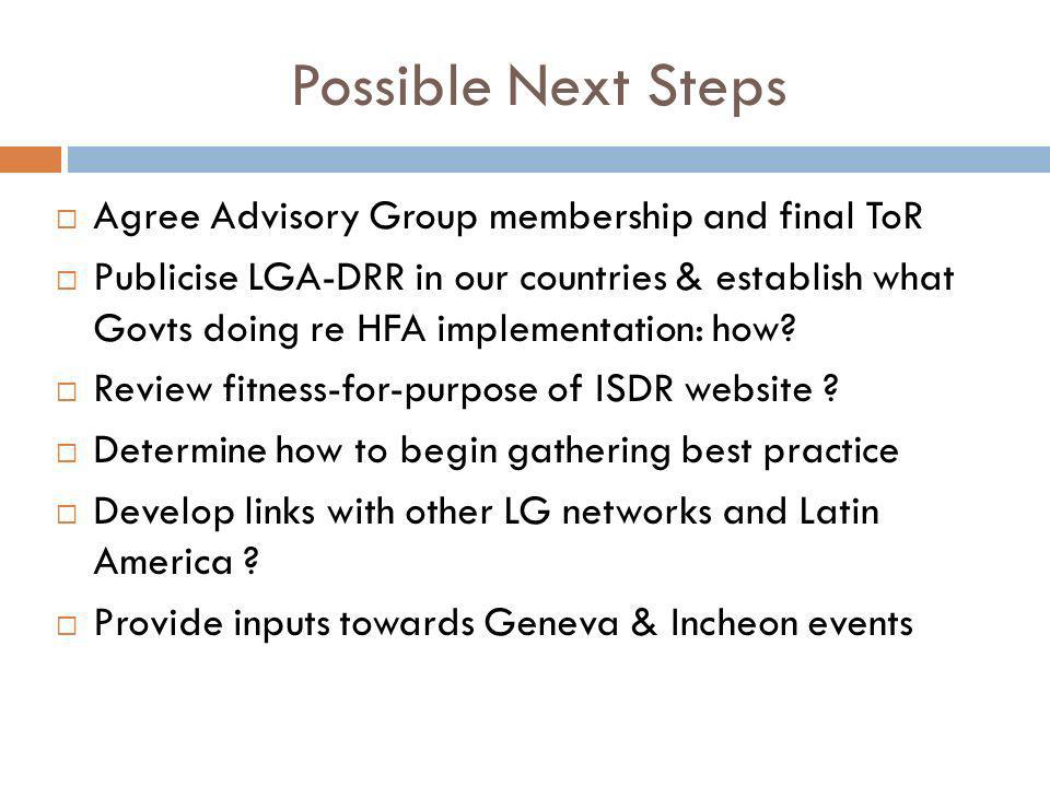 Possible Next Steps Agree Advisory Group membership and final ToR Publicise LGA-DRR in our countries & establish what Govts doing re HFA implementation: how.
