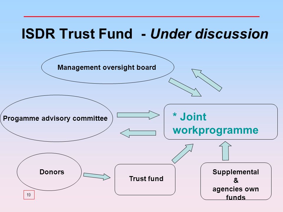 19 ISDR Trust Fund - Under discussion Progamme advisory committee Management oversight board Trust fund Donors * Joint workprogramme Supplemental & agencies own funds