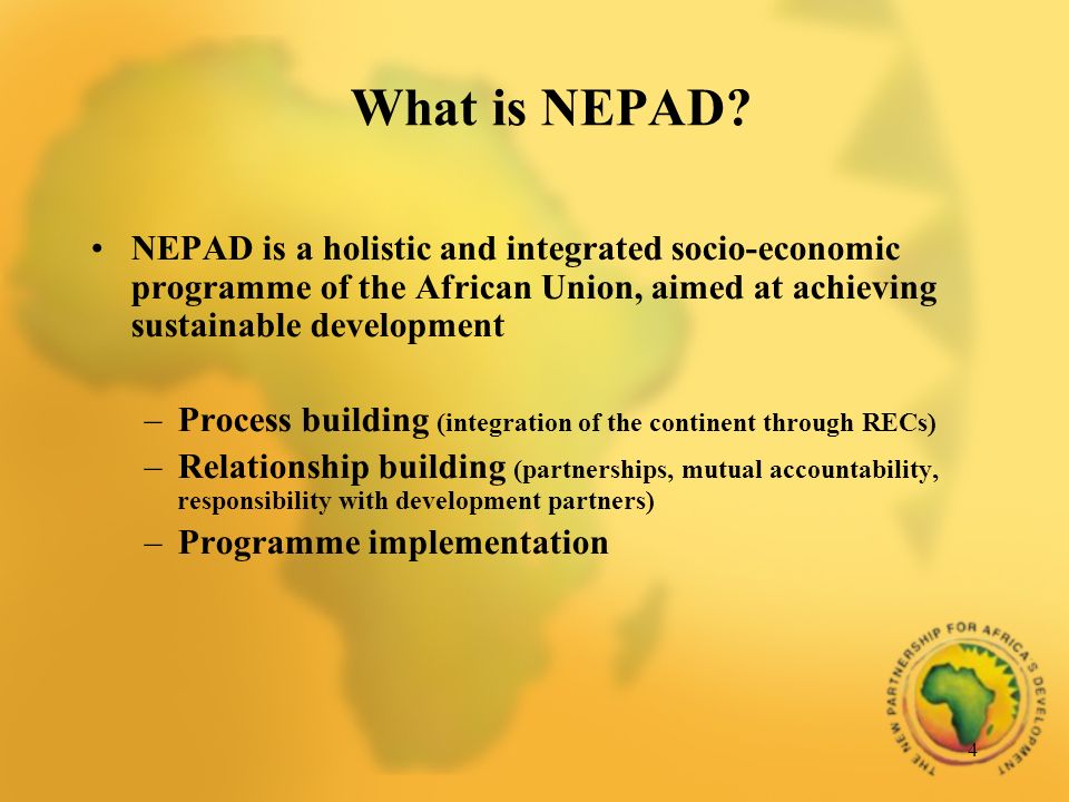 4 What is NEPAD.
