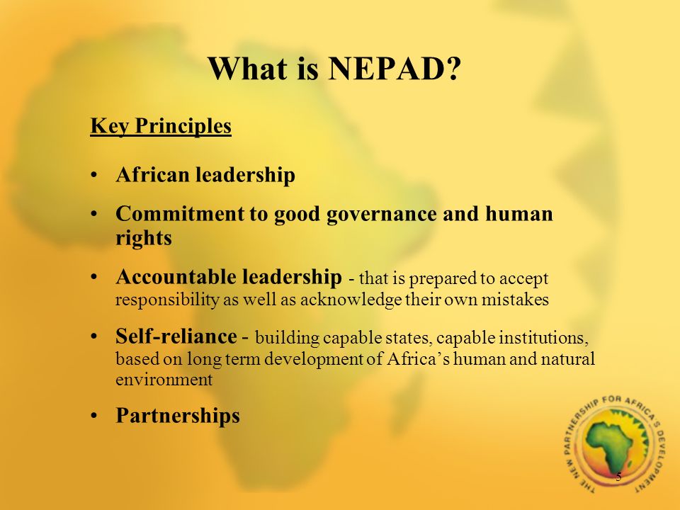 5 What is NEPAD.