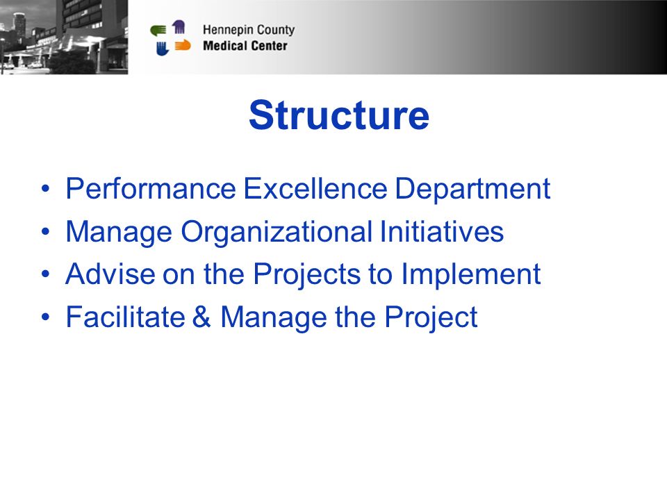 Structure Performance Excellence Department Manage Organizational Initiatives Advise on the Projects to Implement Facilitate & Manage the Project