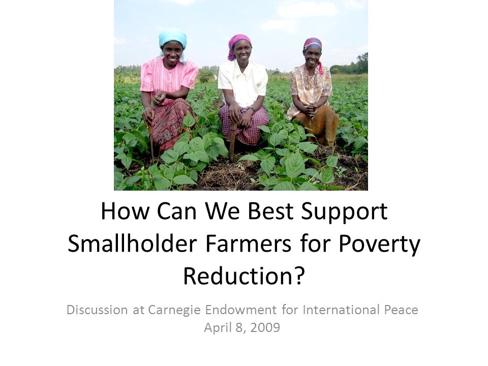 How Can We Best Support Smallholder Farmers for Poverty Reduction.