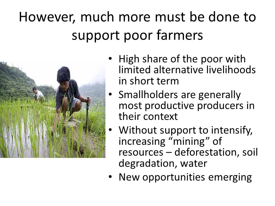 However, much more must be done to support poor farmers High share of the poor with limited alternative livelihoods in short term Smallholders are generally most productive producers in their context Without support to intensify, increasing mining of resources – deforestation, soil degradation, water New opportunities emerging
