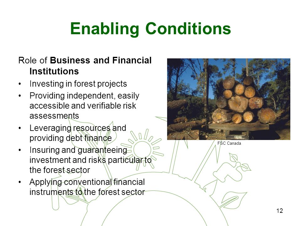 12 Enabling Conditions Role of Business and Financial Institutions Investing in forest projects Providing independent, easily accessible and verifiable risk assessments Leveraging resources and providing debt finance Insuring and guaranteeing investment and risks particular to the forest sector Applying conventional financial instruments to the forest sector FSC Canada