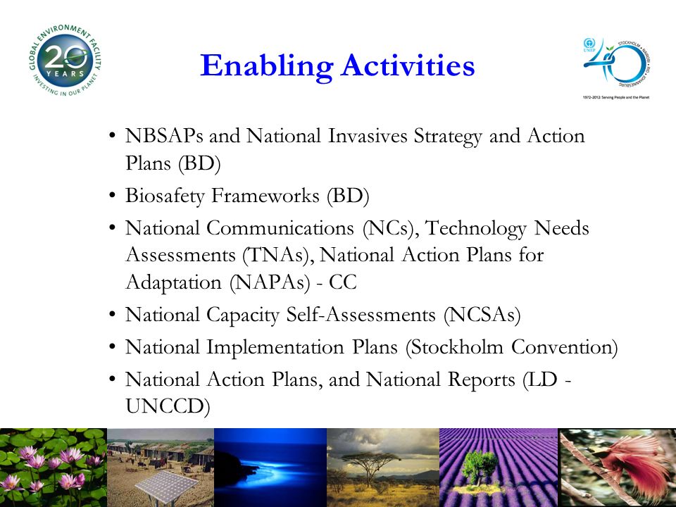 Enabling Activities NBSAPs and National Invasives Strategy and Action Plans (BD) Biosafety Frameworks (BD) National Communications (NCs), Technology Needs Assessments (TNAs), National Action Plans for Adaptation (NAPAs) - CC National Capacity Self-Assessments (NCSAs) National Implementation Plans (Stockholm Convention) National Action Plans, and National Reports (LD - UNCCD)