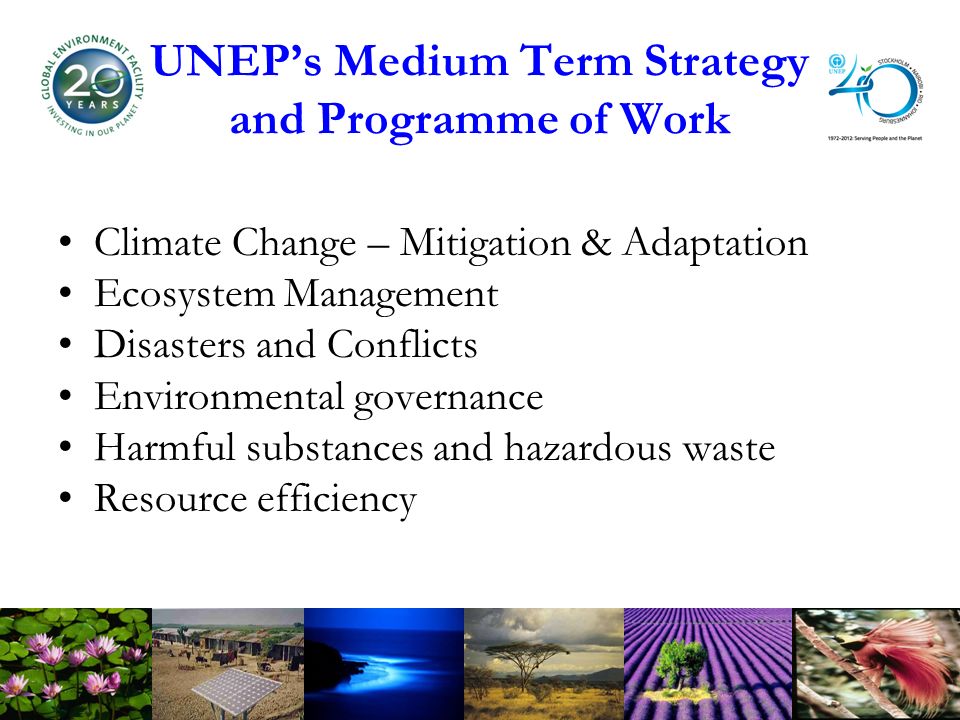 UNEPs Medium Term Strategy and Programme of Work Climate Change – Mitigation & Adaptation Ecosystem Management Disasters and Conflicts Environmental governance Harmful substances and hazardous waste Resource efficiency