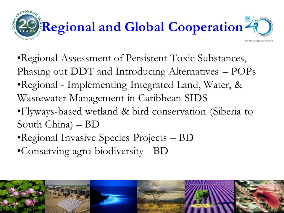 Regional and Global Cooperation Regional Assessment of Persistent Toxic Substances, Phasing out DDT and Introducing Alternatives – POPs Regional - Implementing Integrated Land, Water, & Wastewater Management in Caribbean SIDS Flyways-based wetland & bird conservation (Siberia to South China) – BD Regional Invasive Species Projects – BD Conserving agro-biodiversity - BD