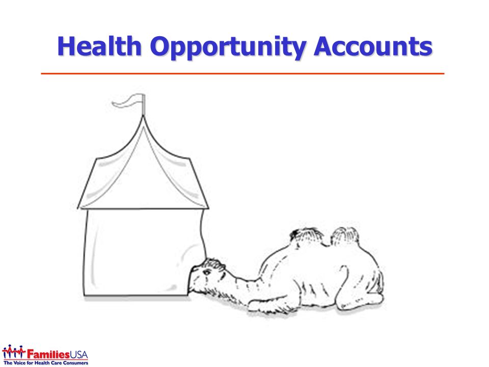 Health Opportunity Accounts
