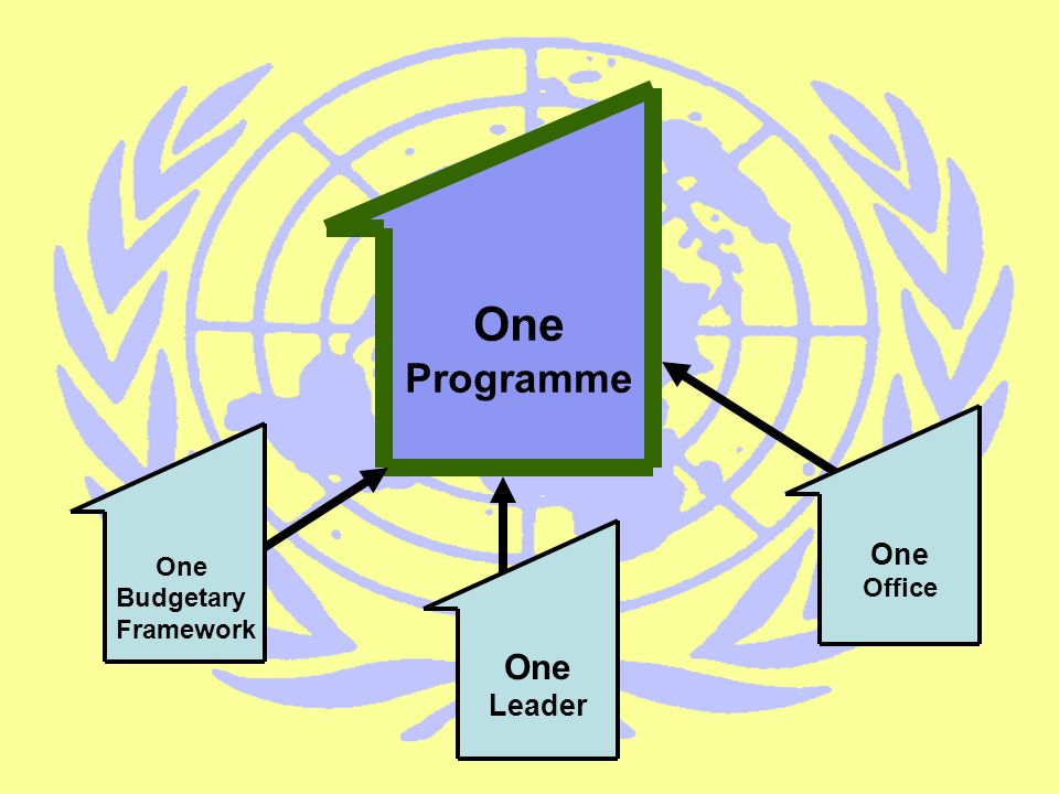 One Budgetary Framework One Programme One Leader One Office