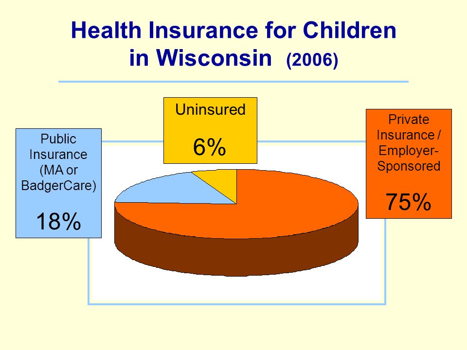Health Insurance for Children in Wisconsin (2006) Uninsured 6% Private Insurance / Employer- Sponsored 75% Public Insurance (MA or BadgerCare) 18%