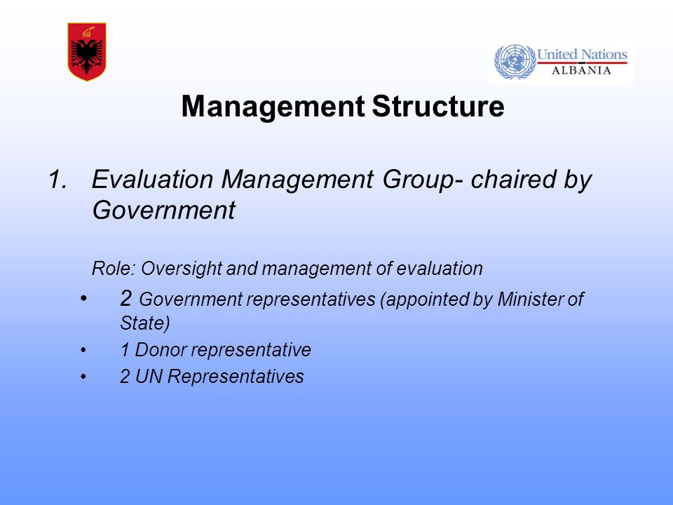 1.Evaluation Management Group- chaired by Government Role: Oversight and management of evaluation 2 Government representatives (appointed by Minister of State) 1 Donor representative 2 UN Representatives