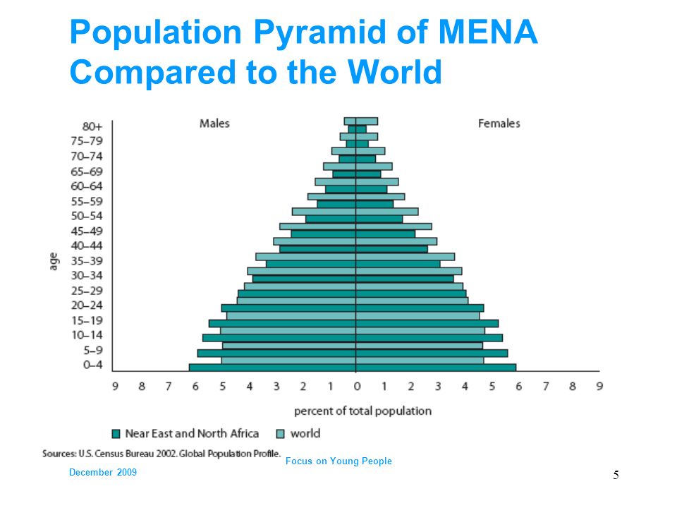 Population Pyramid of MENA Compared to the World UNDAF Workshop Amman – December Focus on Young People