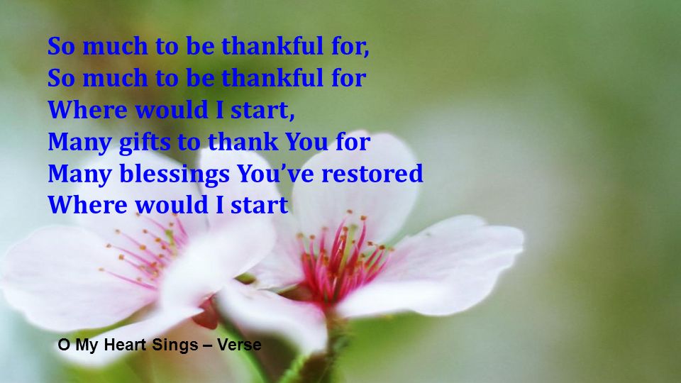 O My Heart Sings – Verse So much to be thankful for, So much to be thankful for Where would I start, Many gifts to thank You for Many blessings Youve restored Where would I start