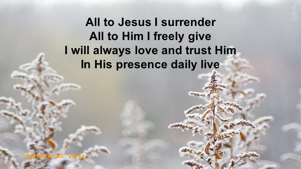 All to Jesus I surrender All to Him I freely give I will always love and trust Him In His presence daily live I Surrender All: Verse