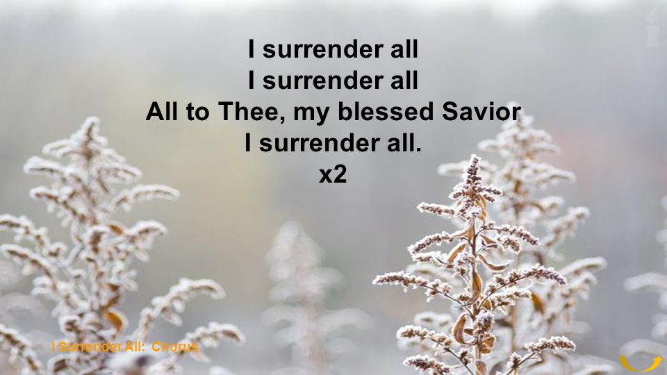 I surrender all All to Thee, my blessed Savior I surrender all. x2 I Surrender All: Chorus
