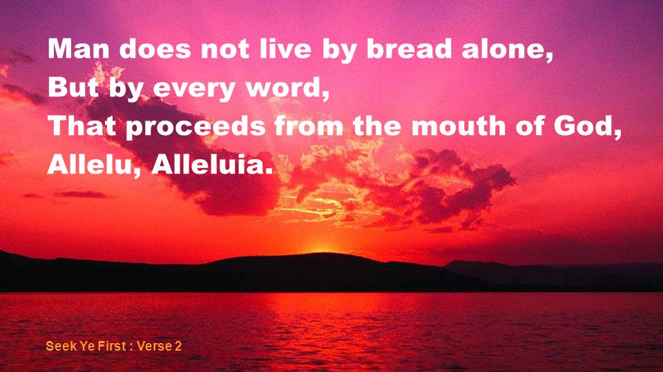 Man does not live by bread alone, But by every word, That proceeds from the mouth of God, Allelu, Alleluia.
