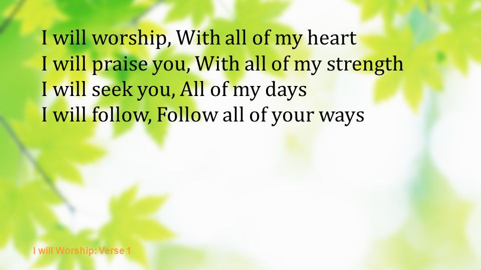 I will worship, With all of my heart I will praise you, With all of my strength I will seek you, All of my days I will follow, Follow all of your ways I will Worship: Verse 1