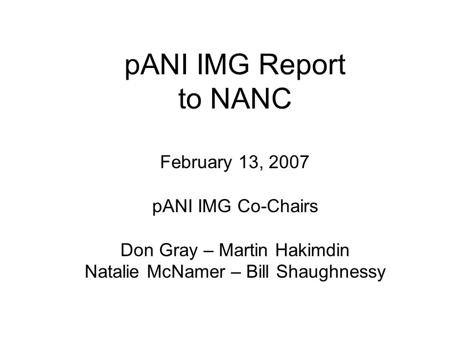 pANI IMG Report to NANC February 13, 2007 pANI IMG Co-Chairs Don Gray – Martin Hakimdin Natalie McNamer – Bill Shaughnessy