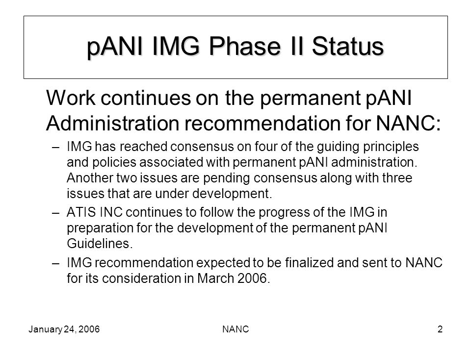 January 24, 2006NANC2 Work continues on the permanent pANI Administration recommendation for NANC: –IMG has reached consensus on four of the guiding principles and policies associated with permanent pANI administration.