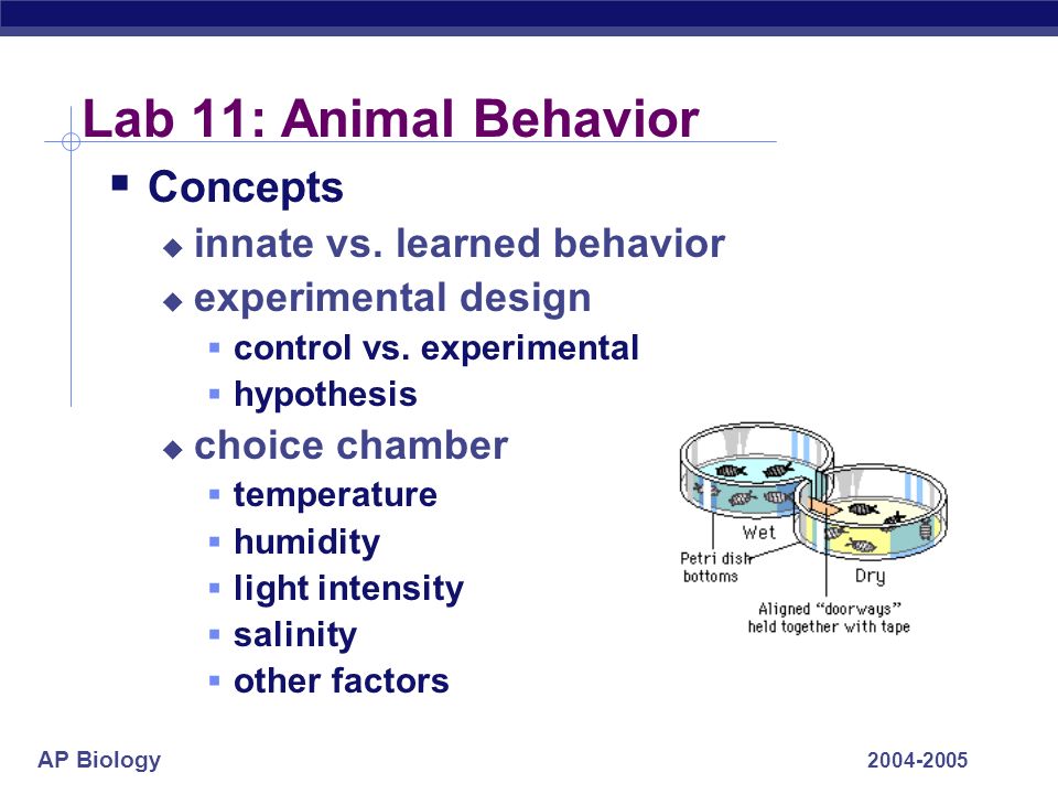 ap biology essay 2004 b ap biology essay 2004 b