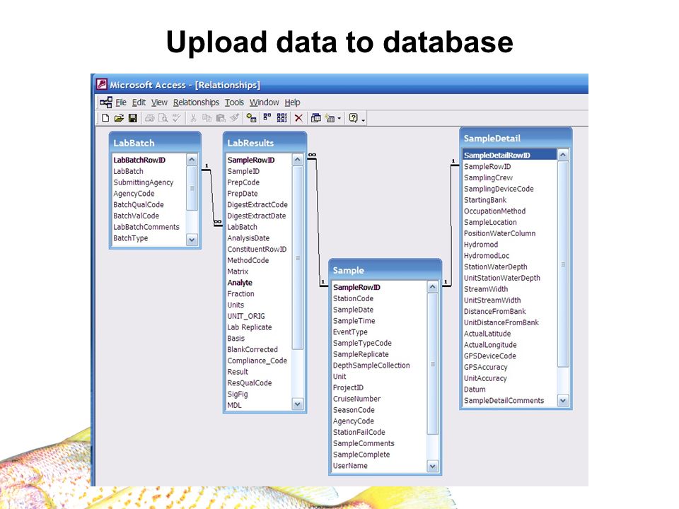 Draft Data - Do not cite or quote Upload data to database