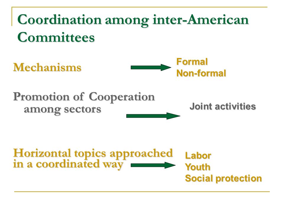 Coordination among inter-American Committees Mechanisms Promotion of Cooperation among sectors FormalNon-formal Joint activities Horizontal topics approached in a coordinated way LaborYouth Social protection