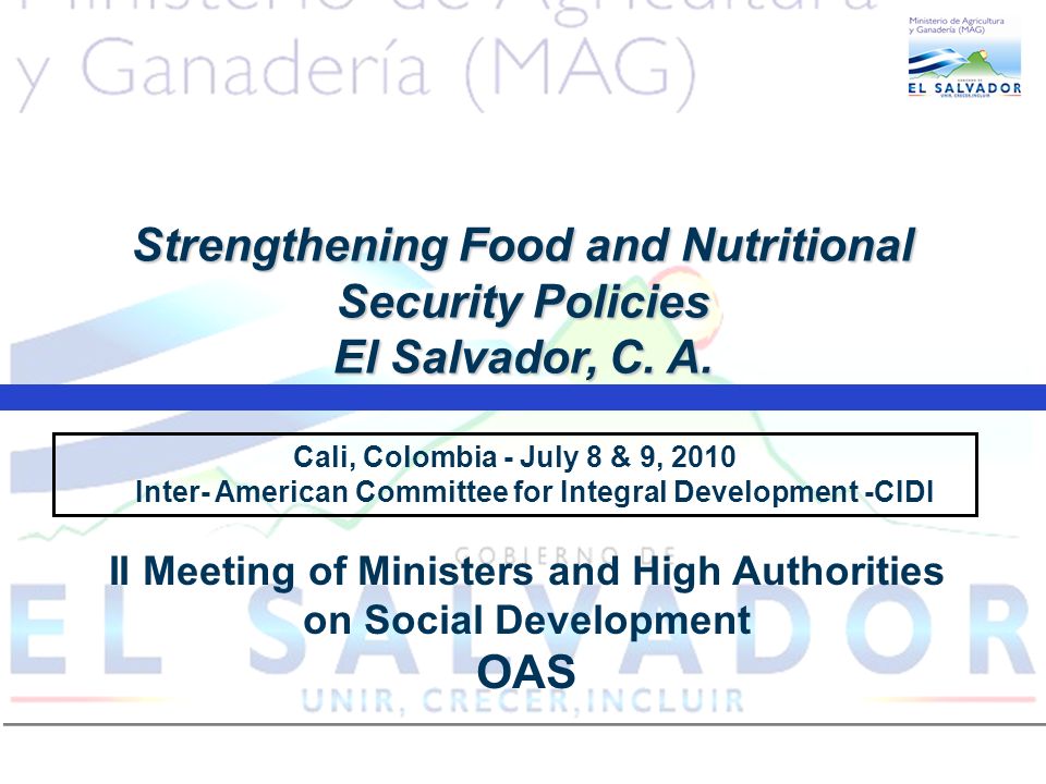 Cali, Colombia - July 8 & 9, 2010 Inter- American Committee for Integral Development -CIDI Strengthening Food and Nutritional Security Policies El Salvador, C.