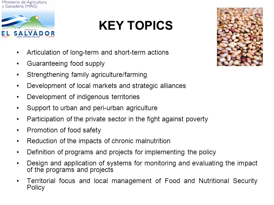 KEY TOPICS Articulation of long-term and short-term actions Guaranteeing food supply Strengthening family agriculture/farming Development of local markets and strategic alliances Development of indigenous territories Support to urban and peri-urban agriculture Participation of the private sector in the fight against poverty Promotion of food safety Reduction of the impacts of chronic malnutrition Definition of programs and projects for implementing the policy Design and application of systems for monitoring and evaluating the impact of the programs and projects Territorial focus and local management of Food and Nutritional Security Policy